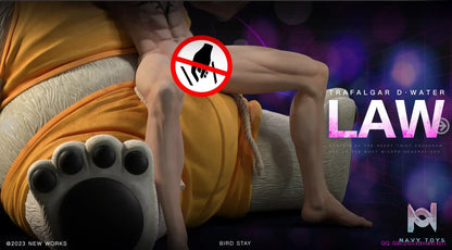 Bird Stay Studio – One Piece Trafalgar D. Water Law