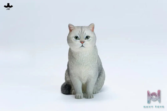 JXK – British Shorthair JXK382 (Licensed)