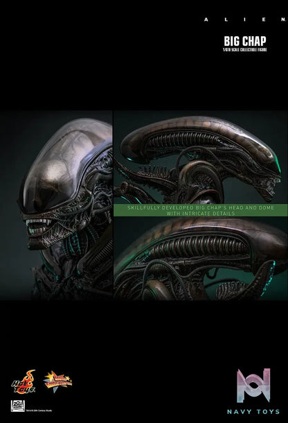 Hottoys – Alien Big Chap 1/6th scale Collectible Figure MMS826 (Licensed)