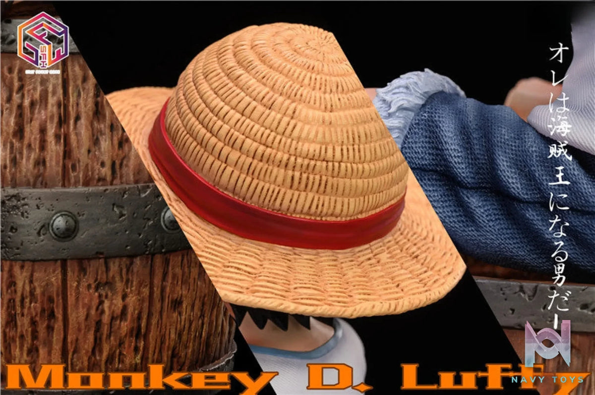 Stay Fount Hope – One Piece Monkey D Luffy