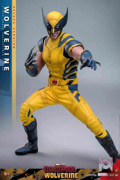 HOTTOYS Studio – Marvel Deadpool & Wolverine 1/6 Wolverine MMS753 Regular version & MMS754 Deluxe version (Licensed)