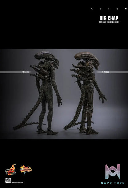 Hottoys – Alien Big Chap 1/6th scale Collectible Figure MMS826 (Licensed)
