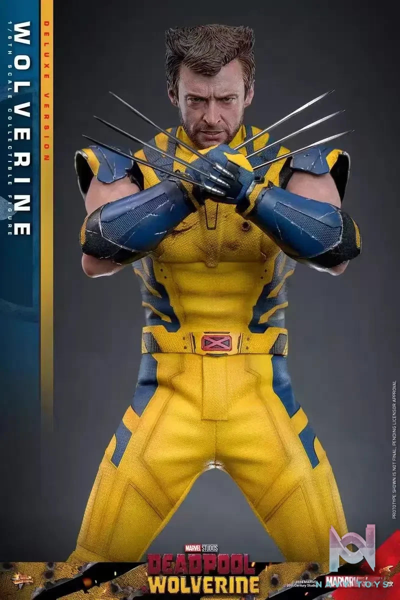 HOTTOYS Studio – Marvel Deadpool & Wolverine 1/6 Wolverine MMS753 Regular version & MMS754 Deluxe version (Licensed)
