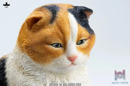 JXK – 1/3 Relaxing Cat JXK357 (Licensed)