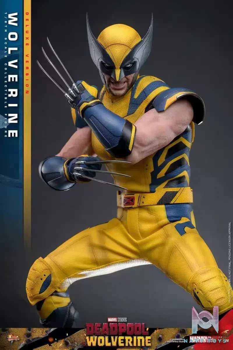 HOTTOYS Studio – Marvel Deadpool & Wolverine 1/6 Wolverine MMS753 Regular version & MMS754 Deluxe version (Licensed)