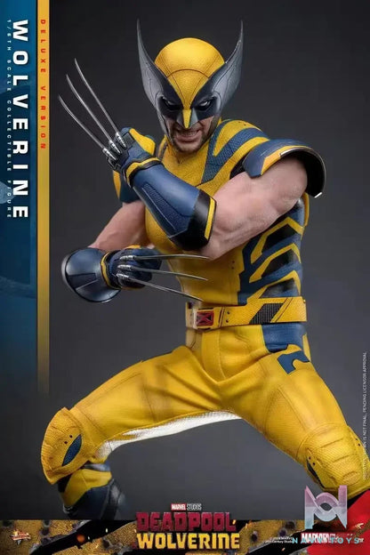 HOTTOYS Studio – Marvel Deadpool & Wolverine 1/6 Wolverine MMS753 Regular version & MMS754 Deluxe version (Licensed)