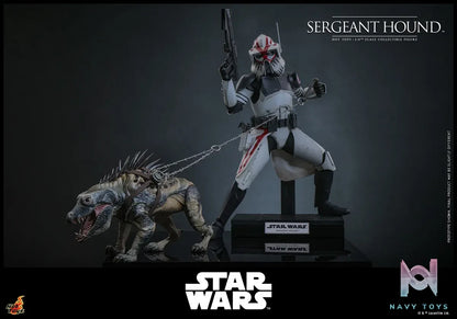 Hottoys – Sergeant Hound 1/6 Scale Collectible Figure TMS167 (Licensed)
