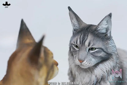 JXK – Sitting upright Maine Coon cat JXK364 (Licensed)