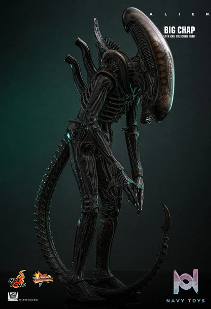 Hottoys – Alien Big Chap 1/6th scale Collectible Figure MMS826 (Licensed)