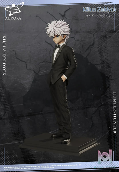 Aurora Studio – HUNTER×HUNTER Suit Series Suit ********​******
