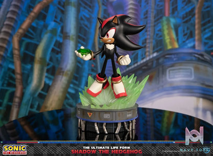 First 4 Figures – Sonic The Hedgehog – The Ultimate Life Form: Shadow the Hedgehog X Super Shadow (Licensed)