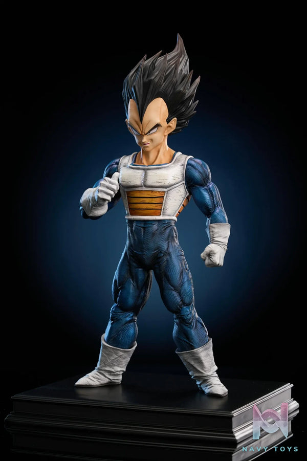 To Youth Studio – Dragon Ball Vegeta