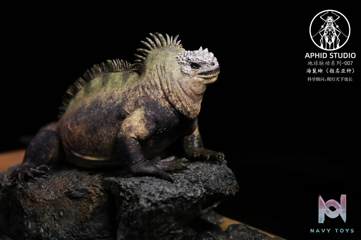 Aphid Studio – Planet Earth – Marine Iguana (Licensed)