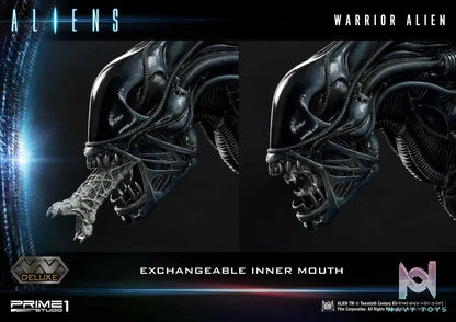 Prime 1 Studio – Premium Masterline Aliens (Comics) Warrior Alien PMDHAL-02 PMDHAL-02DX PMDHAL-02DXS(Licensed)