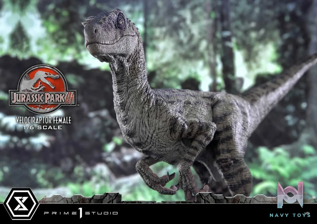 Prime 1 Studio – Legacy Museum Collection Jurassic Park III (Film) Velociraptor Female LMCJP-11 LMCJP-11S (Licensed)