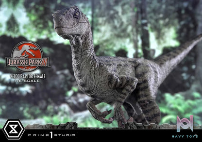 Prime 1 Studio – Legacy Museum Collection Jurassic Park III (Film) Velociraptor Female LMCJP-11 LMCJP-11S (Licensed)