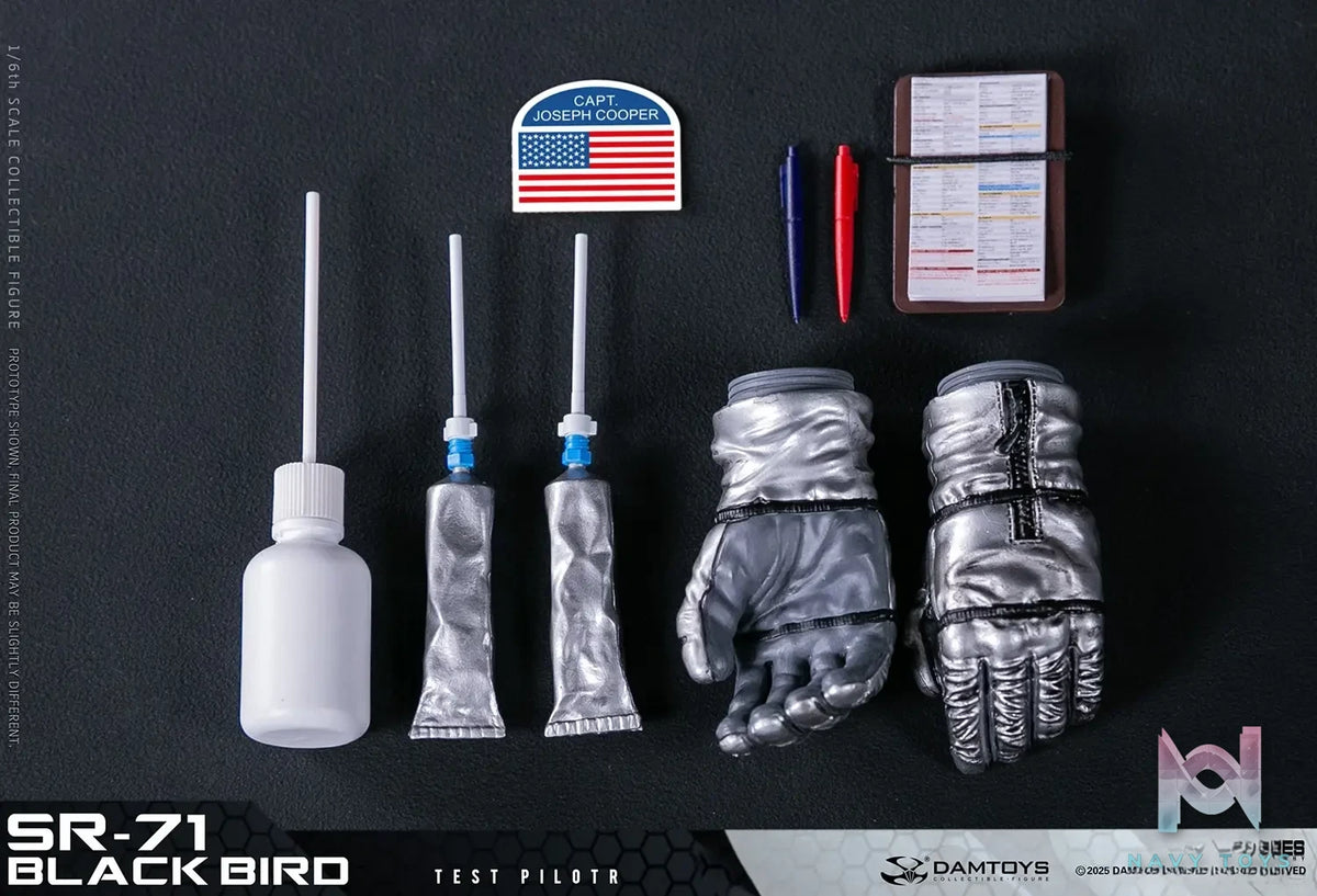 DAMTOYS – 1/6 Scale SR-71 Blackbird Test Pilot NO.78109 (Licensed)