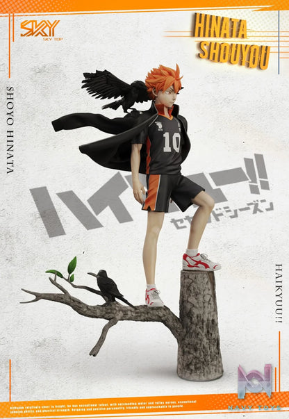 Sky Top Studio – Haikyu! Shoyo Hinata