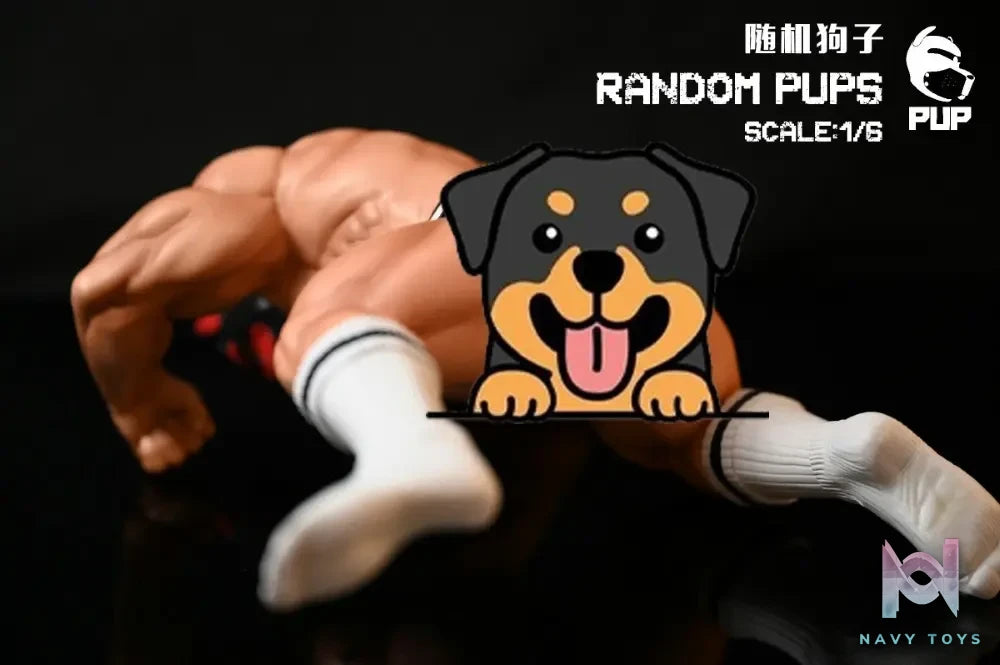 PUP Studio – Original Random puffs (Licensed)