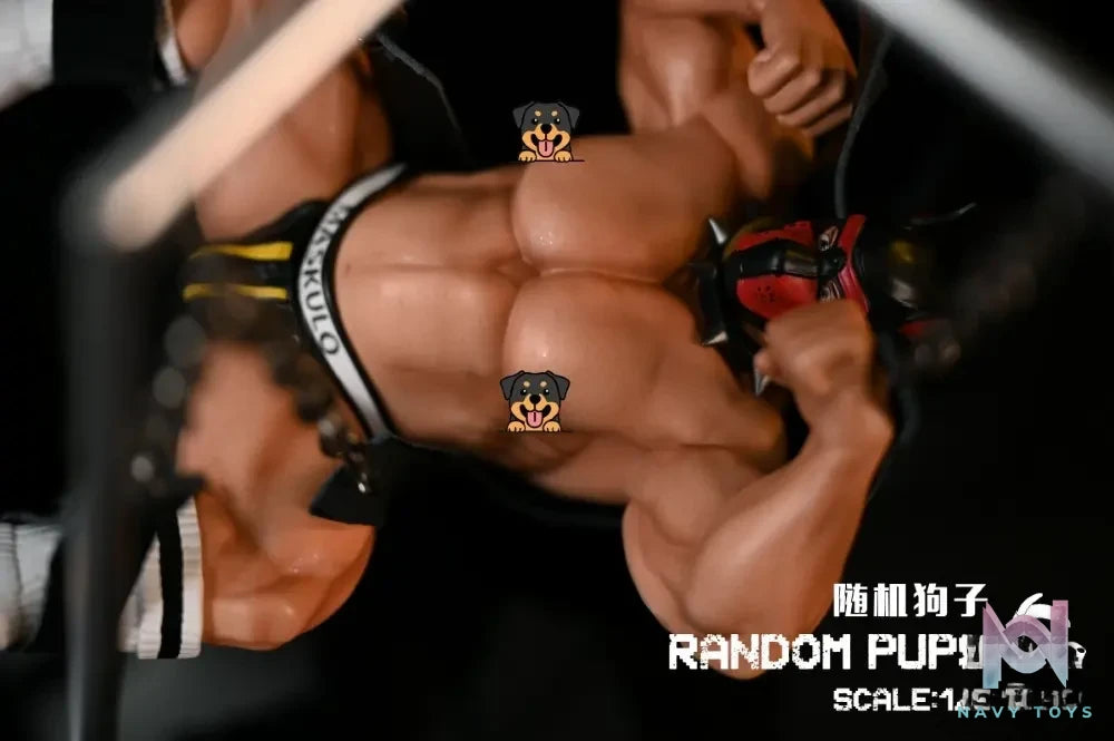 PUP Studio – Original Random puffs (Licensed)