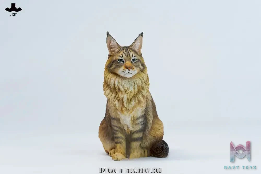 JXK – Sitting upright Maine Coon cat JXK364 (Licensed)