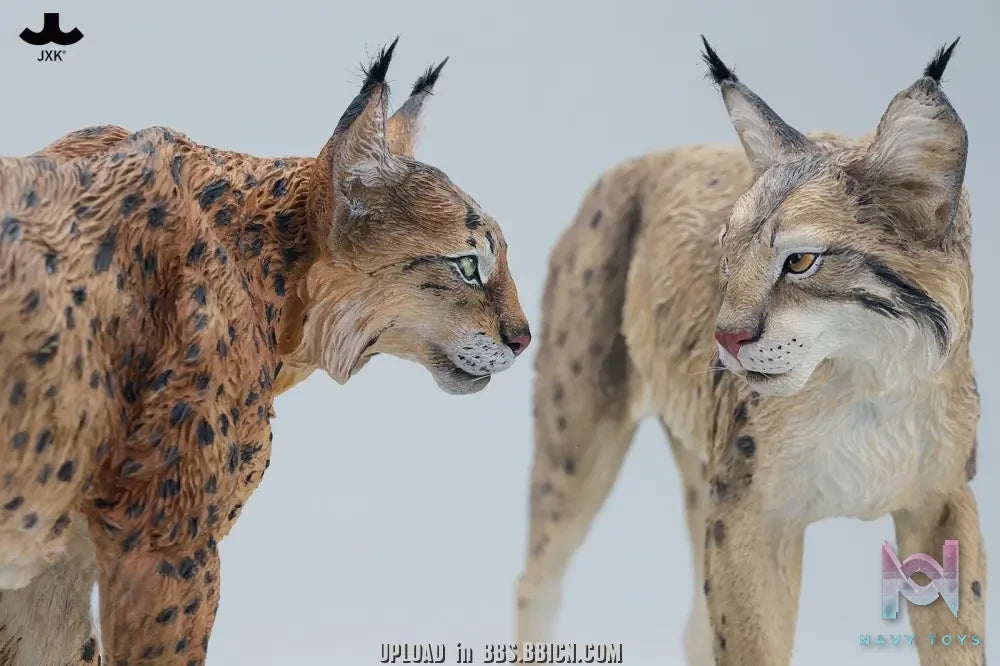 JXK – Lynx JXK361 (Licensed)