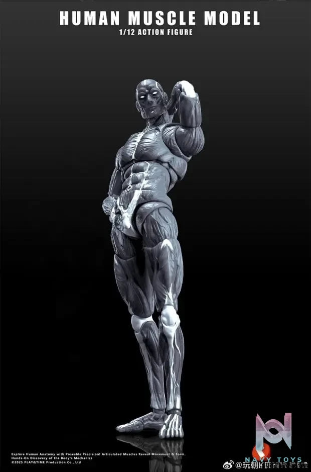 KEEPGOING – Human Muscle Model 1/12 Highly Articulated Figure (Licensed)