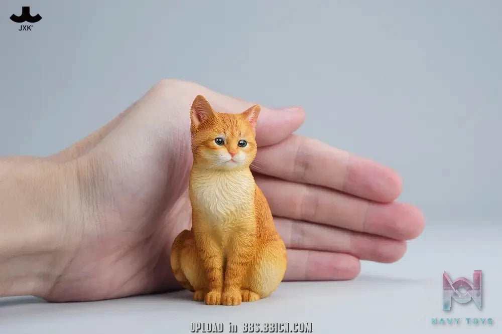 JXK – Well-behaved cat sitting JXK352 (Licensed)