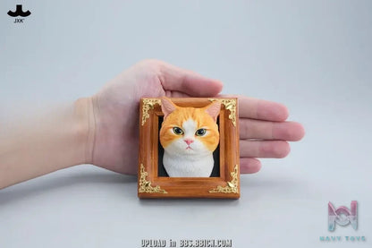 JXK – Gentle-eyed country cat JS2607 (Licensed)
