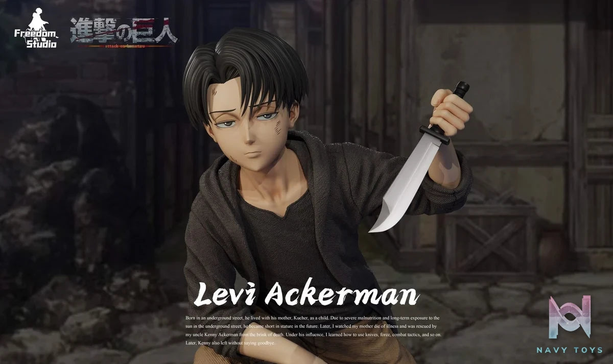 Levi Ackerman - Attack on Titan - Freedom Studio resin statue freedom studio anime figure