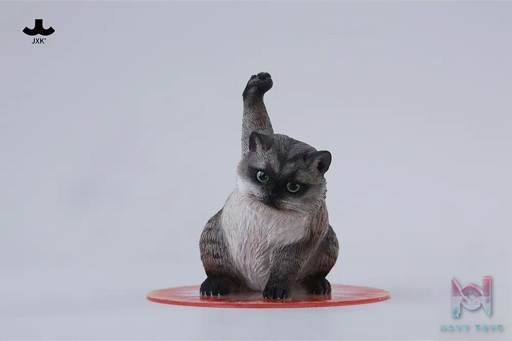 JXK Studio – Super Cat JXK286 ABCD (Licensed)