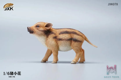 JXK – 1/6 Ono pig X Suricate (Licensed)