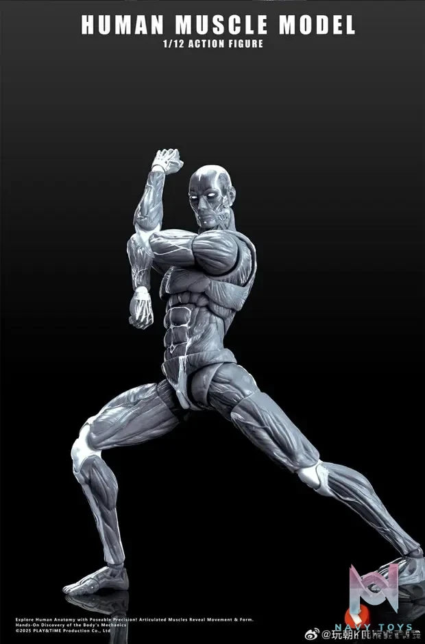 KEEPGOING – Human Muscle Model 1/12 Highly Articulated Figure (Licensed)
