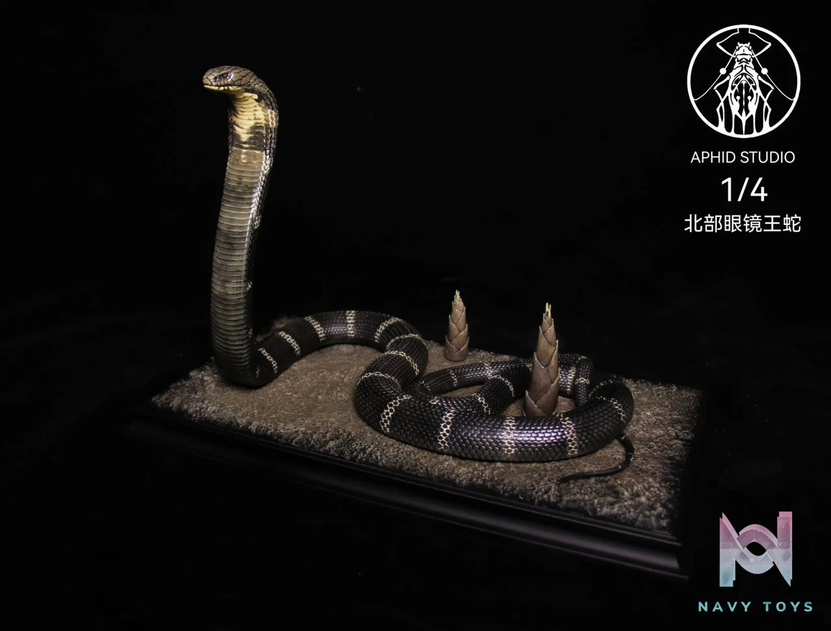 Aphid Studio – Northern King Cobra (Licensed)