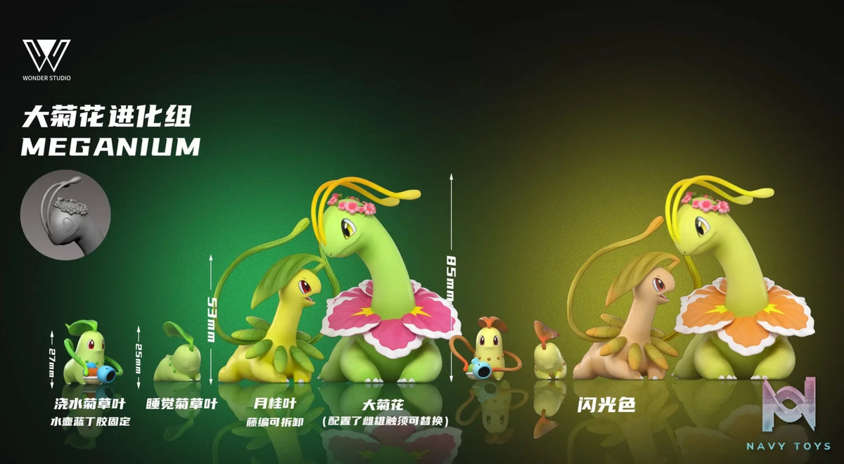 Wonder Studio – Meganium Evolution Set Pokémon