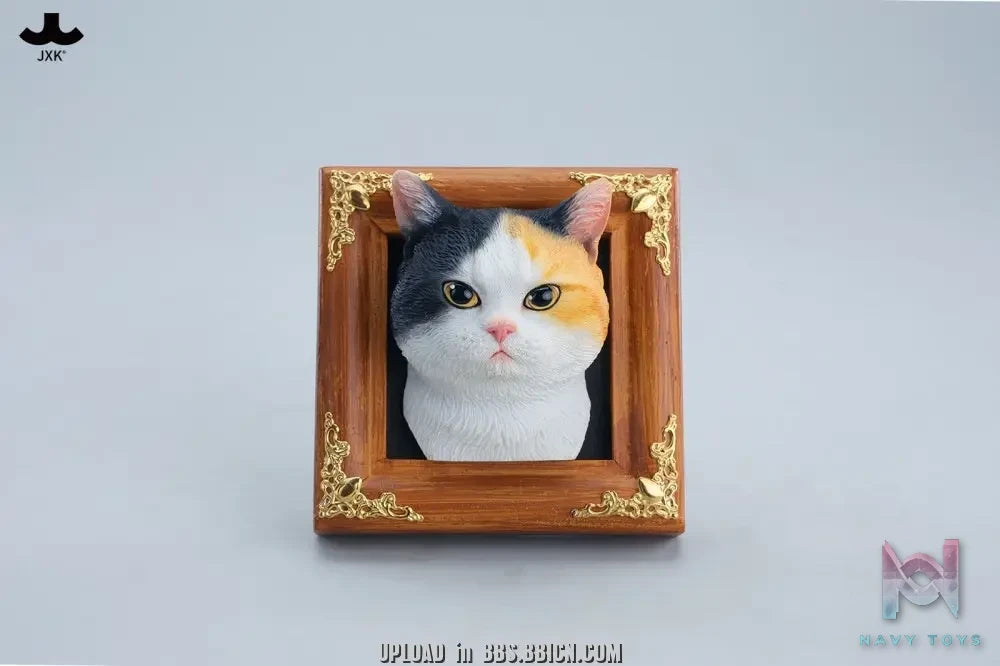 JXK – Gentle-eyed country cat JS2607 (Licensed)