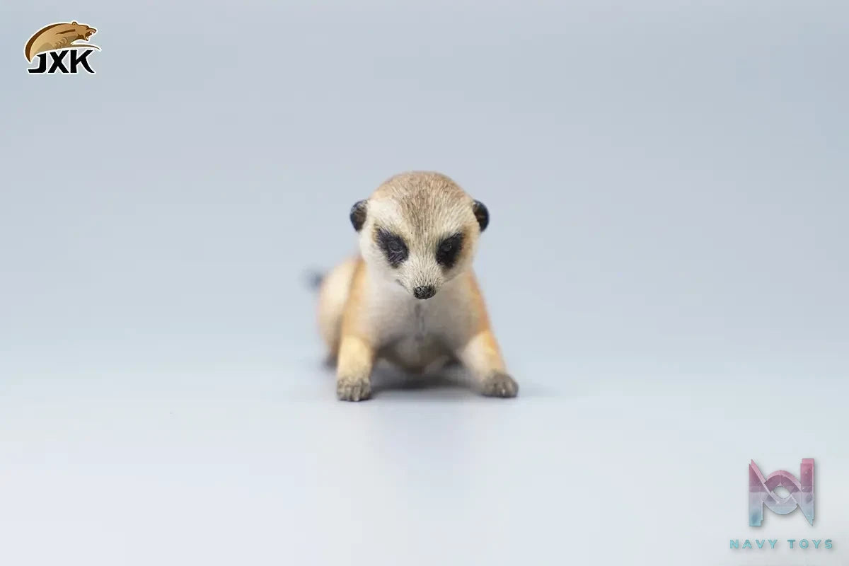 JXK – 1/6 Ono pig X Suricate (Licensed)