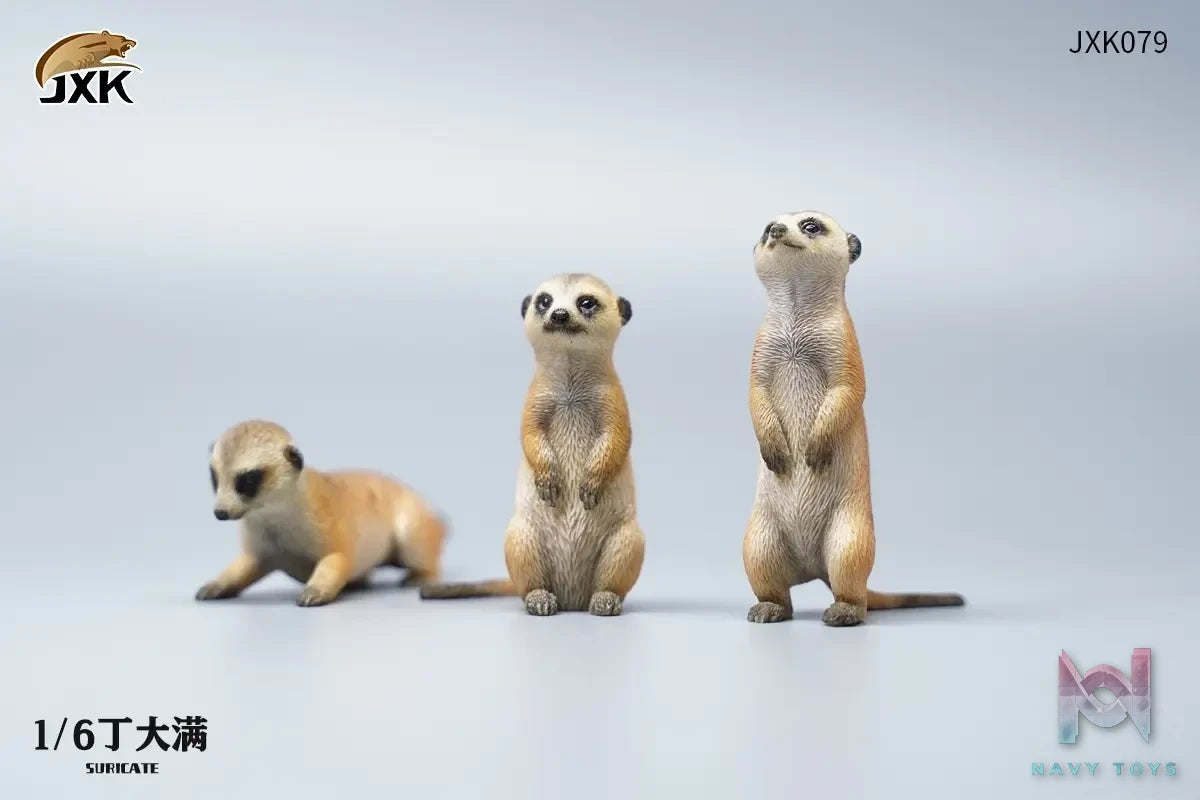 JXK – 1/6 Ono pig X Suricate (Licensed)