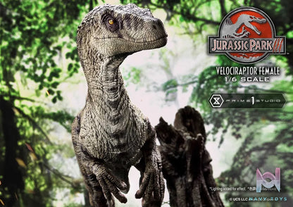 Prime 1 Studio – Legacy Museum Collection Jurassic Park III (Film) Velociraptor Female LMCJP-11 LMCJP-11S (Licensed)
