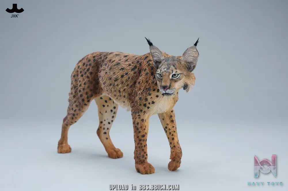 JXK – Lynx JXK361 (Licensed)