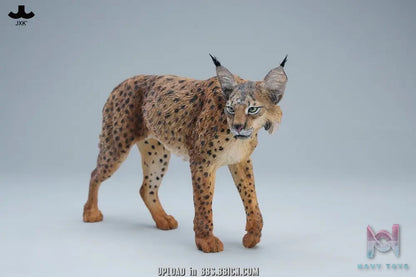 JXK – Lynx JXK361 (Licensed)