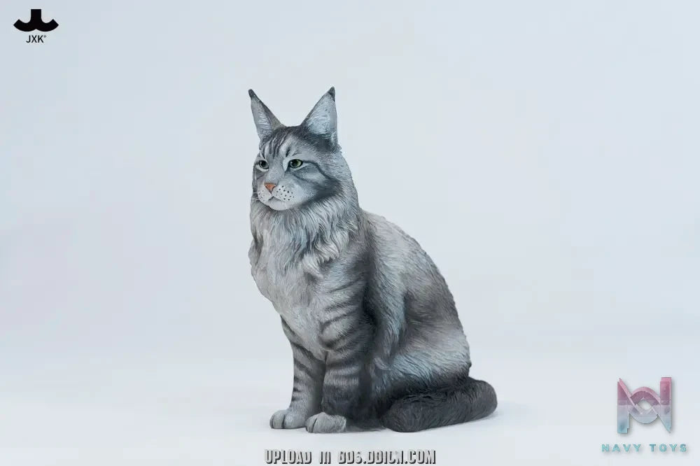 JXK – Sitting upright Maine Coon cat JXK364 (Licensed)