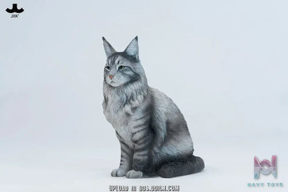 JXK – Sitting upright Maine Coon cat JXK364 (Licensed)