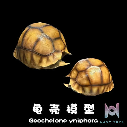 Natural Science Book Studio – Realistic Tortoise Shell Series Vol. 1: Angonoka (Licensed)