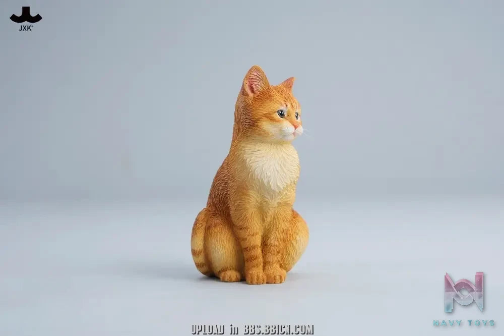 JXK – Well-behaved cat sitting JXK352 (Licensed)