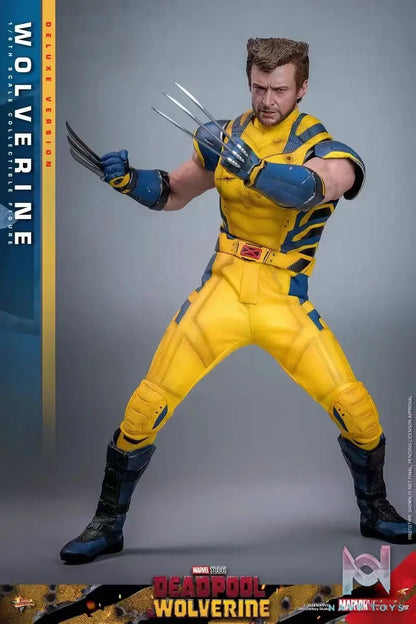HOTTOYS Studio – Marvel Deadpool & Wolverine 1/6 Wolverine MMS753 Regular version & MMS754 Deluxe version (Licensed)