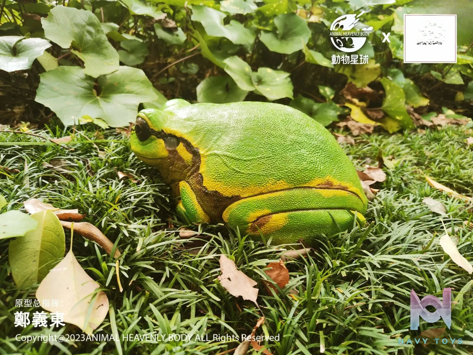 Animal Planet Studio – original Tree Frog Plus (Licensed)