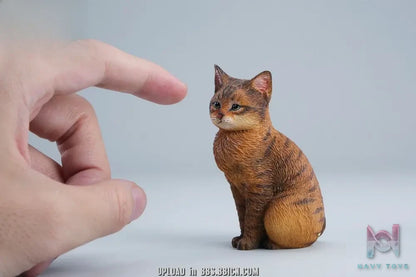 JXK – Well-behaved cat sitting JXK352 (Licensed)