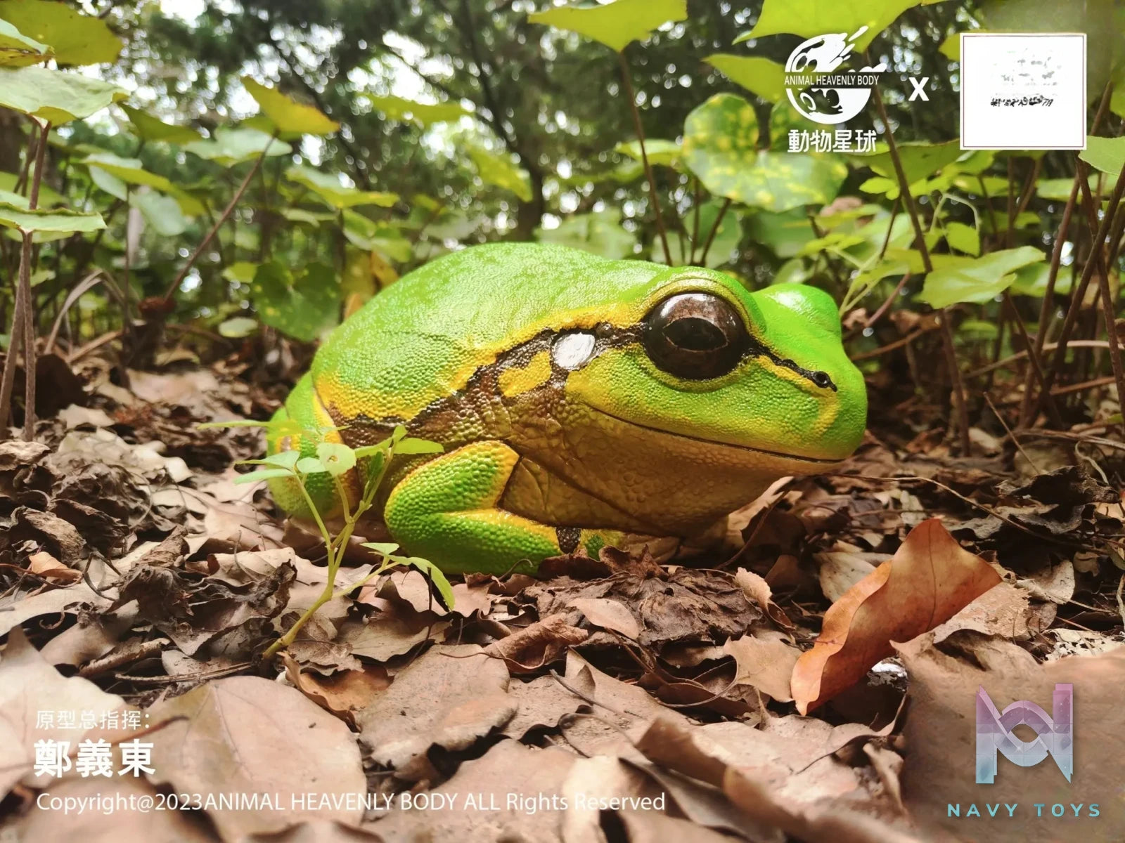 Animal Planet Studio – original Tree Frog Plus (Licensed)