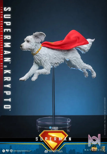 Hottoys – Superman & Krypto 1/6th scale Collectible Set MMS812 (Licensed)